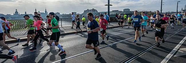 https://allmarathon.fr/images/marathons/dresden-marathon.webp