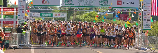 https://allmarathon.fr/images/marathons/gradmas-marathon-duluth.webp