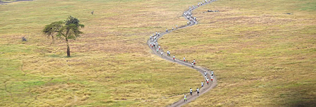 https://allmarathon.fr/images/marathons/marathon-lewa-safari.webp