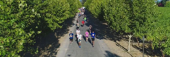 https://allmarathon.fr/images/marathons/marathon-santa-rosa.webp