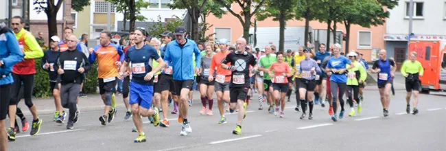 https://allmarathon.fr/images/marathons/pfalzerwald-marathon.webp